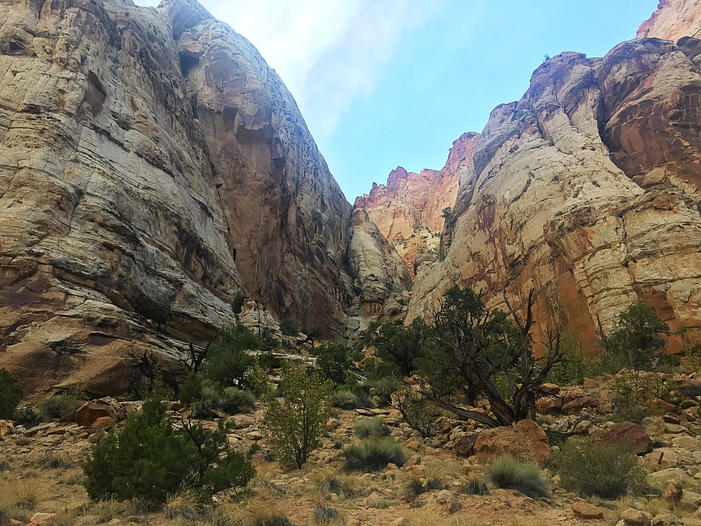 Capitol Reef National Park