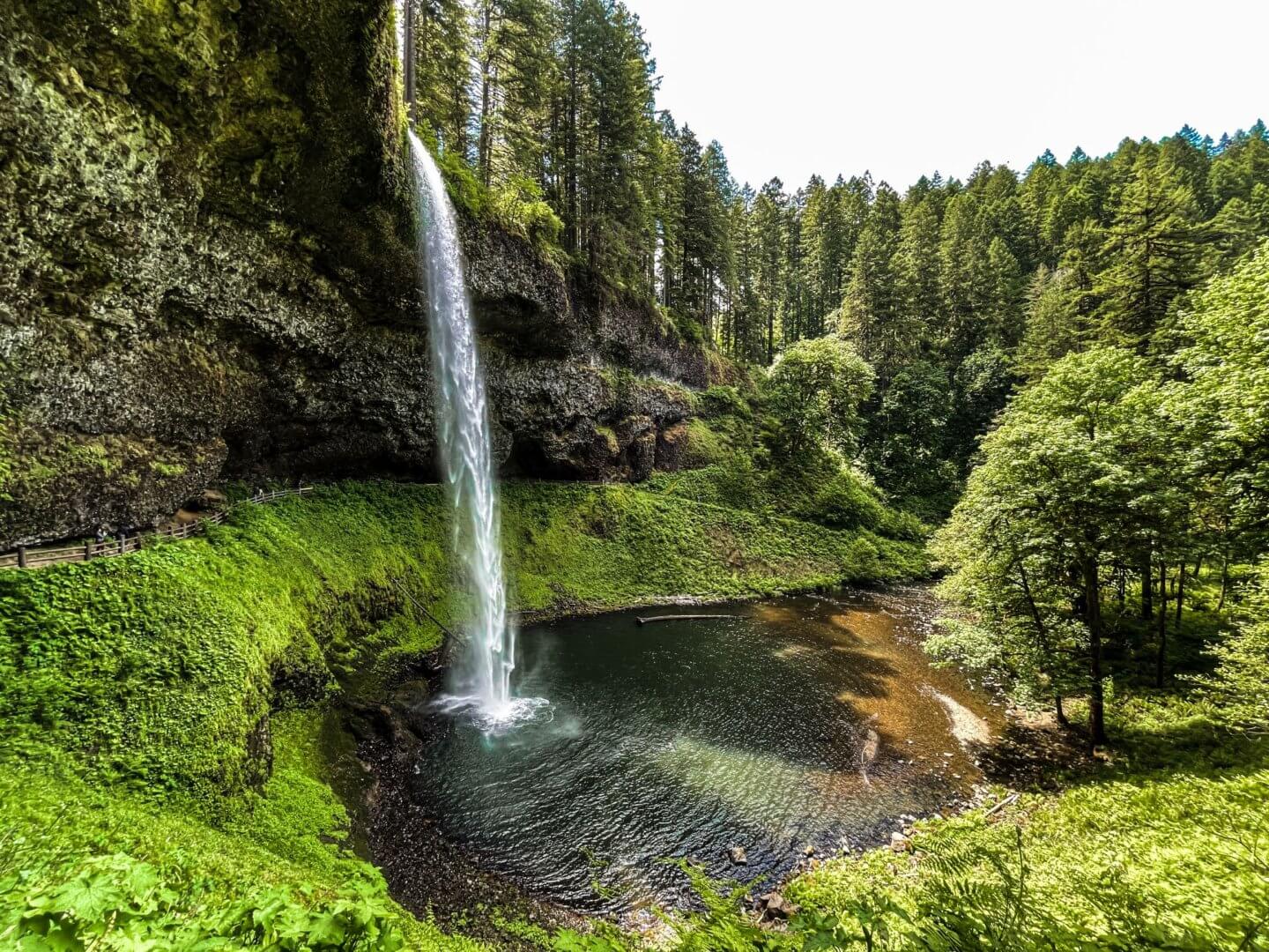 Silver Falls State Park 