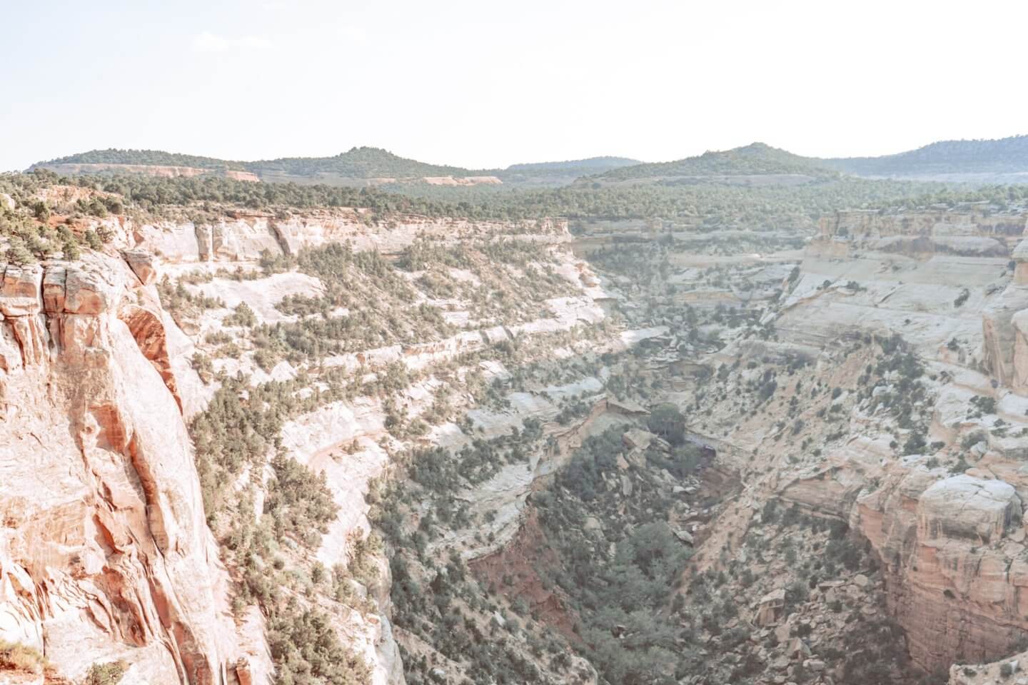 Red Canyon Overlook