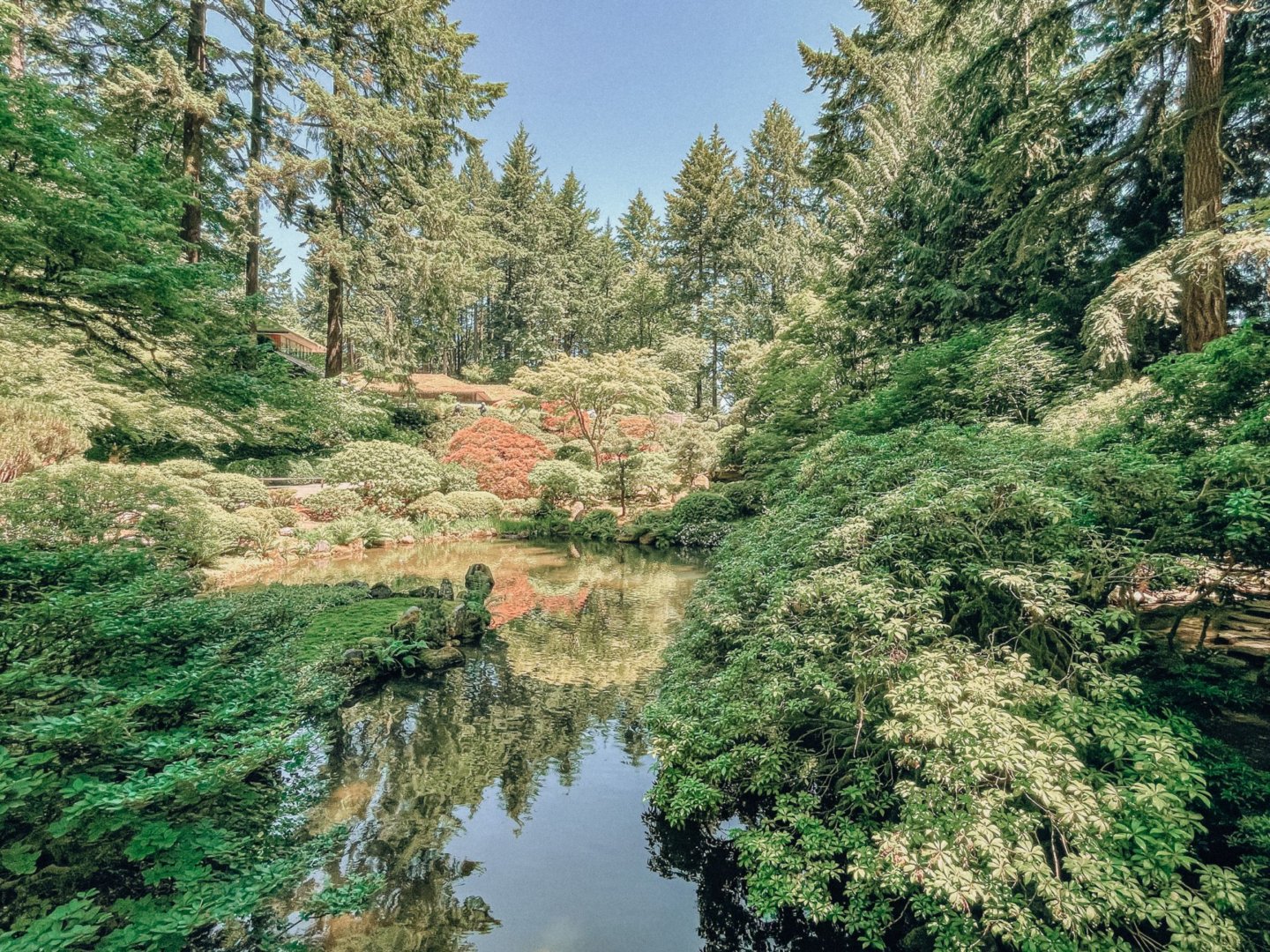 波特蘭日本花園 portland japanese garden