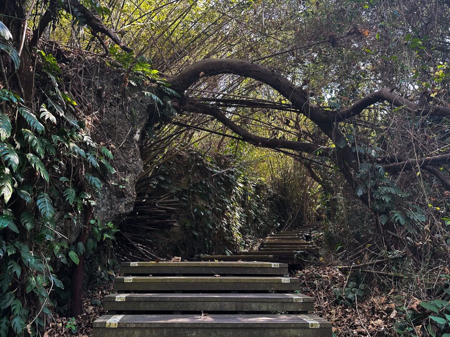 小琉球景點 ｜山豬溝