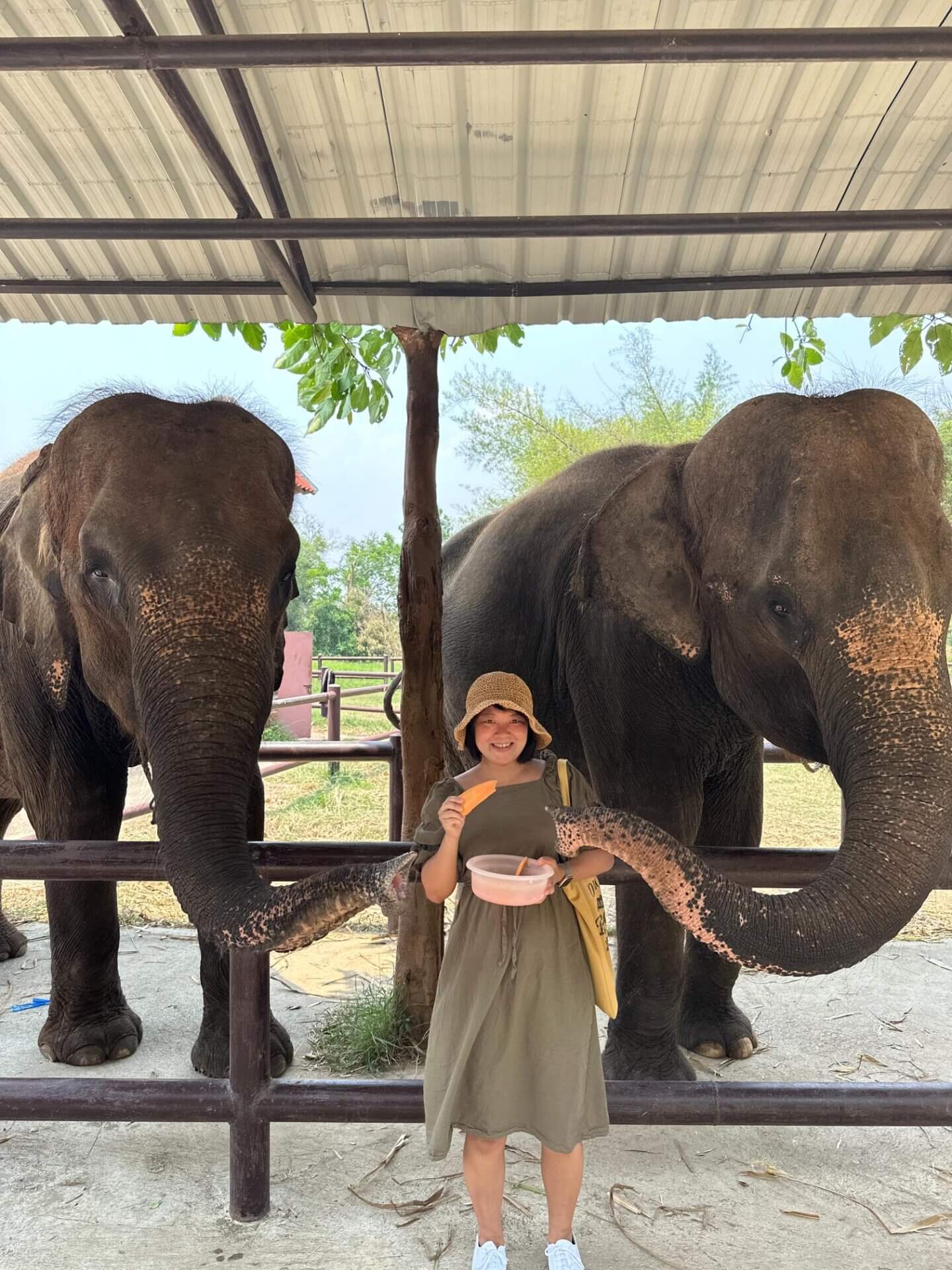 北碧府野生動物園