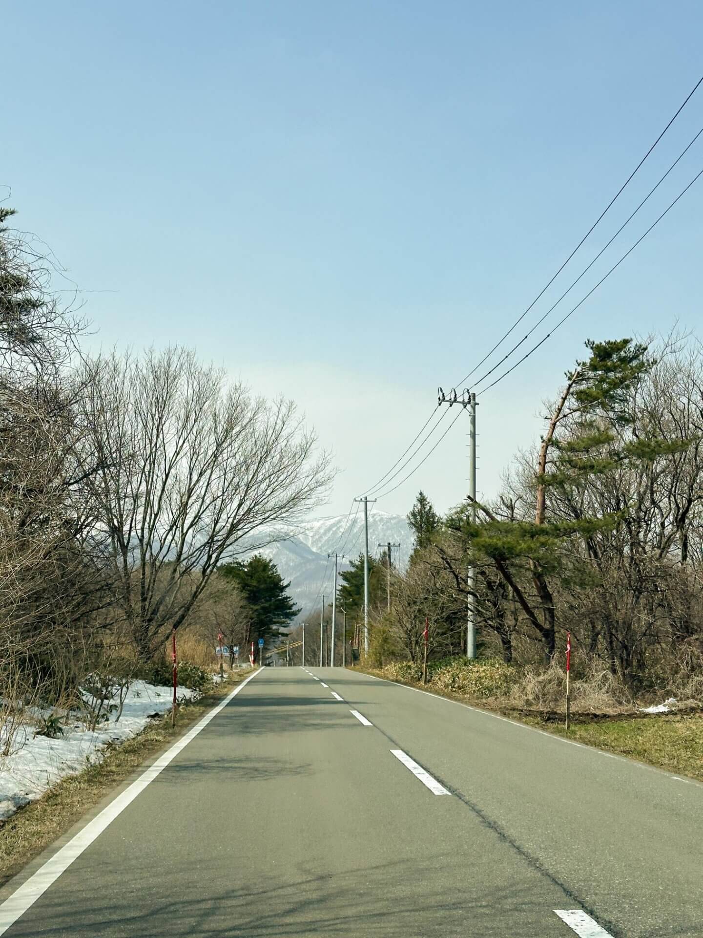 仙台狐狸村