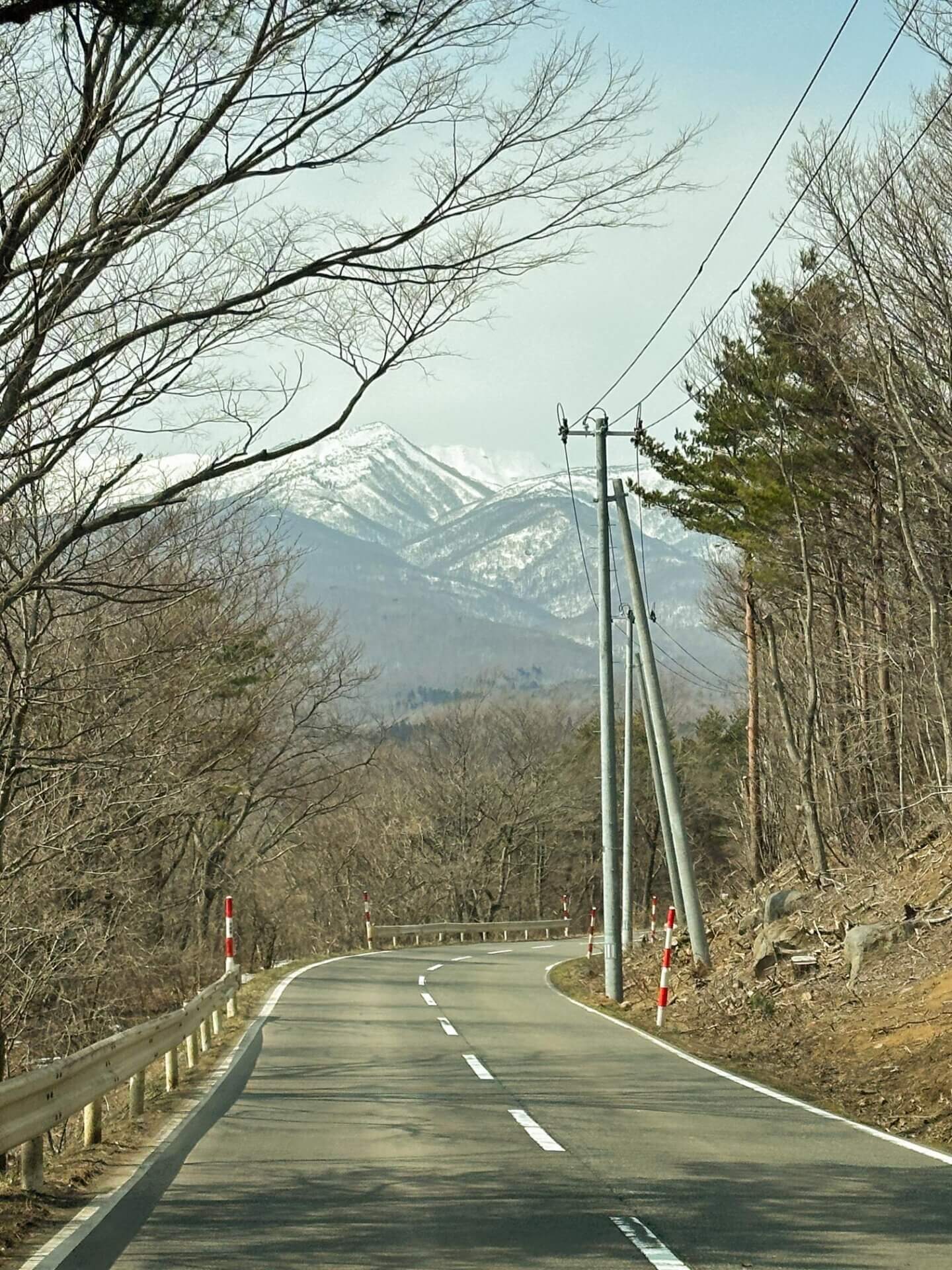 仙台狐狸村